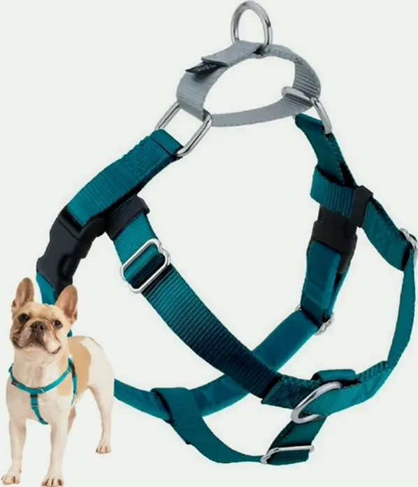 Freedom Pet Vest by 2 Hounds for Easy Walking