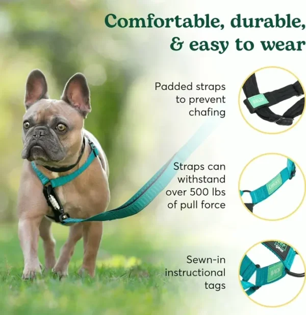 Better Stroll No-Pull Canine Strap, Teal, Small – Stay in Charge, Adjustable, Comfortable, Effortless Wear, Sturdy