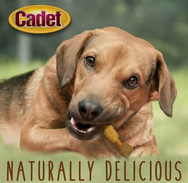 Cadet Pork Kabob Pet Treats 5" (18 Count)