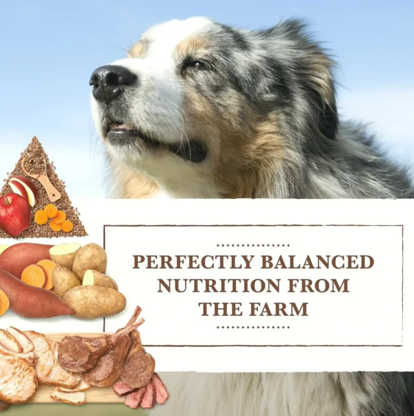 Organic Grain-Free Dog Food, Beef Recipe