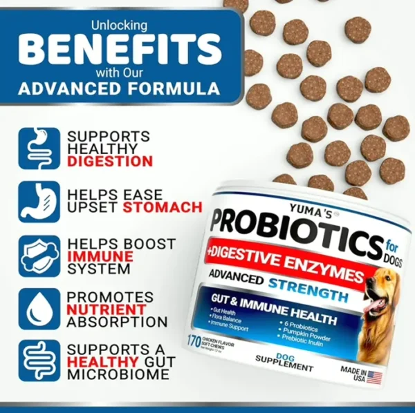 Canine Probiotics & Enzymes - 170 Treats