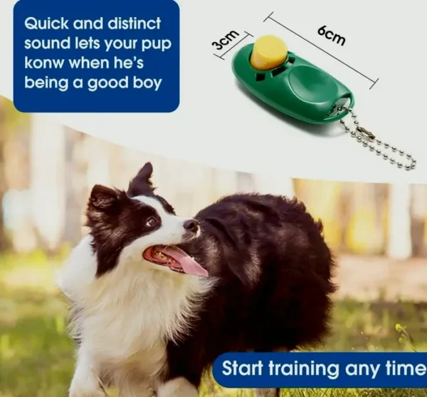 Sturdy Training Leash for Pets with Trainer