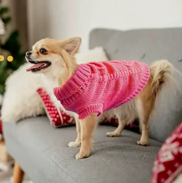 Cute Clothes for Small Dogs Set