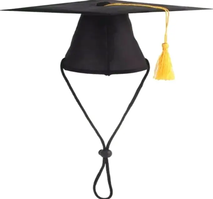 Dog Graduation Hat with Golden Tassel