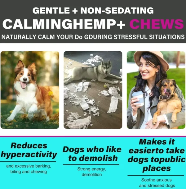 Calming Treats for Canines - 110 Beef Chews