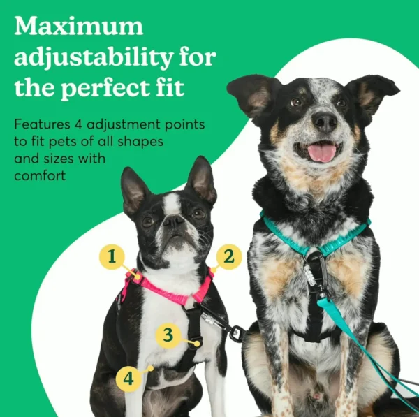 Anti-Pull Dog Harness for Pups, Aqua, Comfortable