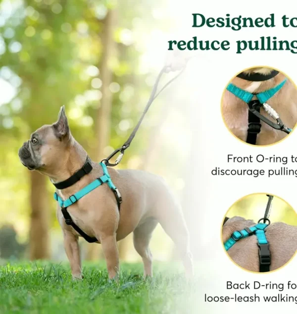 Anti-Pull Dog Harness for Pups, Aqua, Comfortable