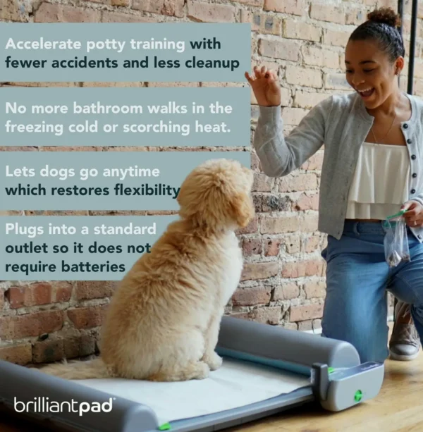 Smart Indoor Pet Loo for Tiny Dogs