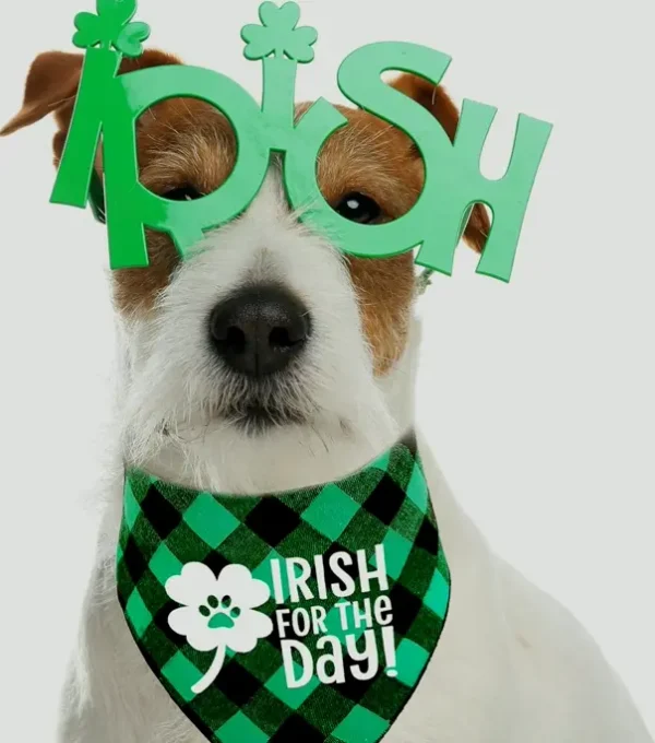 St. Patrick's Day Dog Neckwear - 2 Pack