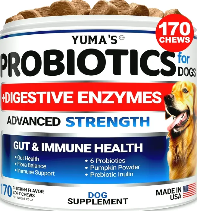 Canine Probiotics & Enzymes - 170 Treats