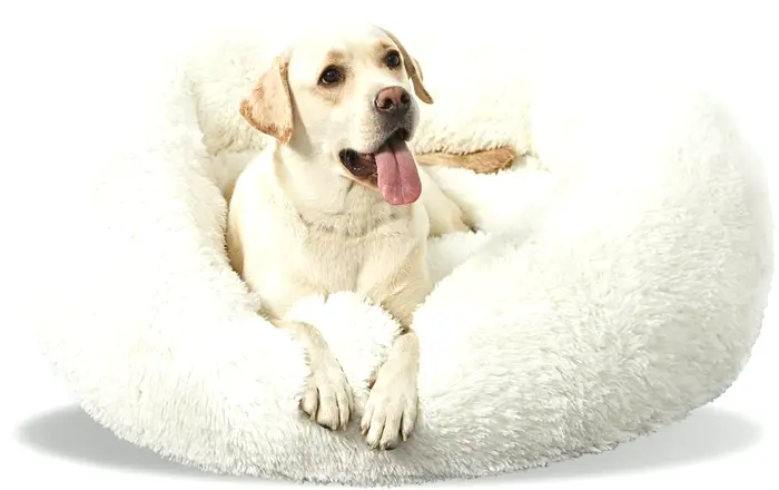 Washable Medium Dog Bed Circular