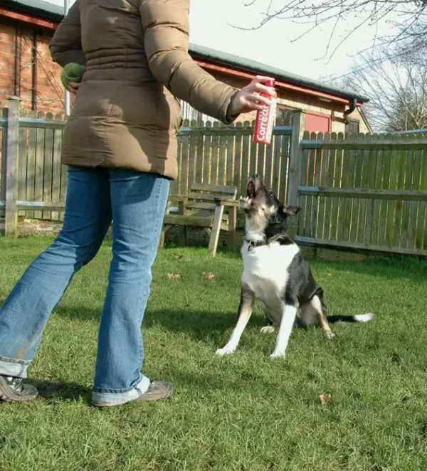 Dog Behavior Tool - Prevents Jumping, Chewing Set of 4