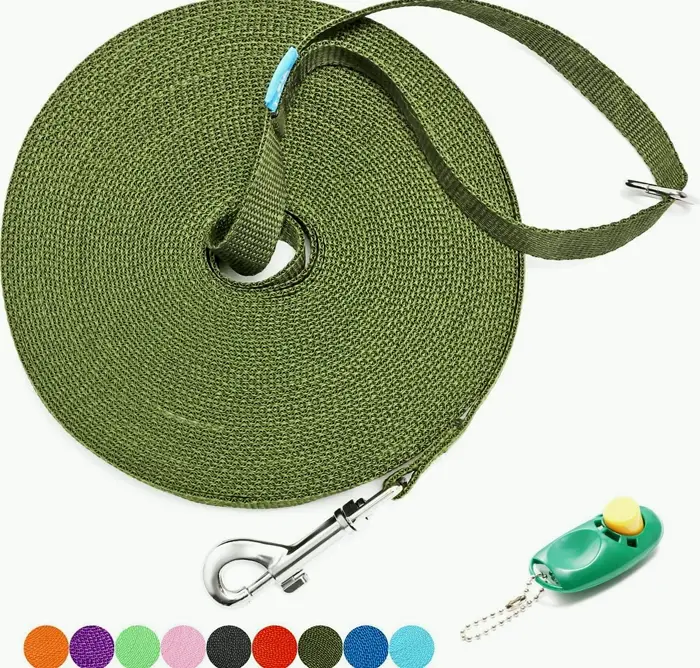 Sturdy Training Leash for Pets with Trainer