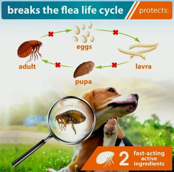 Advanced Flea & Tick Medicine for Puppies